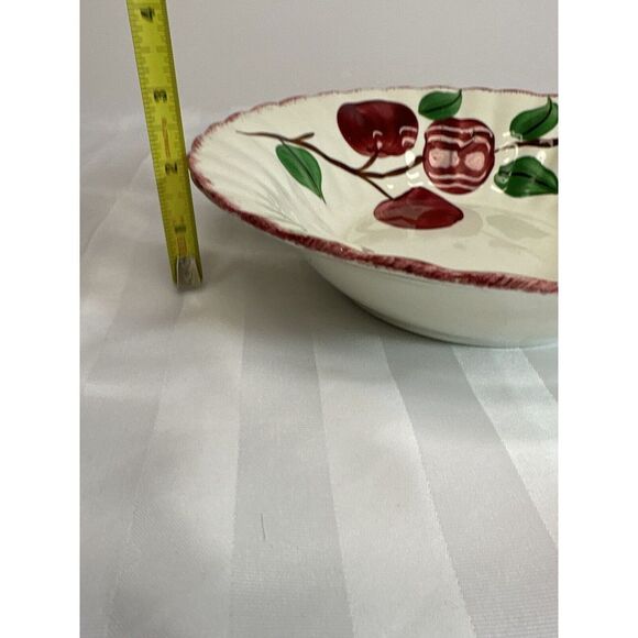 Blue Ridge Apple Pottery‎ 9.25" Bowl Is In Excellent Condition . - Picture 6 of 7
